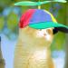 Colorful Propeller Hat for Dogs - Cotton Helicopter Design | Cute & Decorative Pet Accessory - Buy Online on GoSupps.com