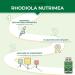 RHODIOLA ROSEA - 400 mg - 100% Pure Formula - Root Extract Titled 3% Salidroside - Stress & Fatigue - Concentration & Cognition - 120 Vegan Capsules - Nutrimea - Made in France - Buy Online on GoSupps.com