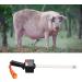Pig Ovulation Detector with Arc Probe Non Destructive Detection Digital Display Sow Ovulation Tester for Livestock Estrous Test - Buy Online on GoSupps.com