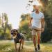 Dog Harness (Medium Black) for Running Hiking & Training Soft-Padded & Adjustable No-Pull Design Pet Harness W/ 2 Leash Clips & Reflective Strips for Safety by EcoEarth M (Pack of 1) - Buy Online on GoSupps.com
