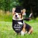 JOTFA 2023 Dog Graduation Bandana and Dog Graduation Cap with 2023 Black Tassel for Graduation Gift 2023 Graduation Party Supplies (Dog Graduation Cap & Bandana) Black Dog Graduation Cap & My Mom Graduated - Buy Online on GoSupps.com