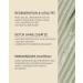 Buy ROSENTAL ORGANICS Avo Clay Mask - 100% Natural Detox Mask for Oily Skin & Blackheads | 50ml International Shipping - Buy Online on GoSupps.com