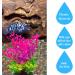 Buy Eqlef Artificial Aquarium Plants - 7 Piece Bright Coral & Aquatic Decorations for Stunning Aquariums - Buy Online on GoSupps.com