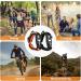 Flintronic 5-in-1 Paracord Survival Bracelet | Military-Grade Outdoor Kit with Flint Compass Mini Saw & Waterproof Paracord - Buy Online on GoSupps.com