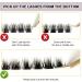 3D Fake Lashes Set - Individual False Eyelashes with Eyelash Glue and Tweezers for Beginners Reusable - Buy Online on GoSupps.com