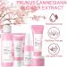 Sakura Facial Care Gift Set for Teenage Girls - Preppy Skincare Kit with Cleanser, Toner, Serum, Face Cream, and Eye Cream - All Skin Types - Women's Gift Sets (Gift Box) - Buy Online on GoSupps.com