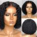 Shop Lace Front Human Hair Wig - Curly Middle Part Short Lace Closure Wigs for International Shipping - Buy Online on GoSupps.com