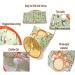 Cat Tunnel Bags for Indoor Cats Cat Tube Tunnel Bored Cat Pet Toys Cat Self Interactive Toys with Plush Ball Cat Tents Cat Crinkle Tunnel Crinkle Paper Collapsible Cat Drill Bag (Green) - Buy Online on GoSupps.com