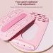 Qeepepucak Lumbar Spine Board - Multi-Stage Backknack Device for Scoliosis & Herniated Discs | Pink Magnetic Massage with 4 Adjustable Steps - International Shipping - Buy Online on GoSupps.com