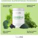 Teami Greens Superfood Powder - Immune Support & Super Green Veggie Ingredients - Buy Online on GoSupps.com