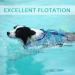 Dog Life Jacket - Adjustable Pet Floatation Vest for Safety in Water - Blue - Small - Buy Online on GoSupps.com
