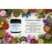 Comfrey Knitbone Ointment Balm 60ml - Soothing Herbal Relief (Pack of 1) - Buy Online on GoSupps.com