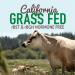 Buy Garden of Life Organic Grass-Fed Whey Protein - Strawberry 13.75 oz (390 g) - Buy Online on GoSupps.com