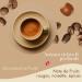 Caf Bonnac Caf En Grain Blend Royal Moka 500gr | 100% Arabica Gourmand Et Subtil | Notes De Moka Cacao Et Fruits Rouges | Torr faction Artisanale Fran aise | Id al Machine Cafe Grain 1 500 g (Lot de 1) - Buy Online on GoSupps.com