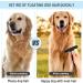 NANYANG Pet de-Shedding Brush - Double Row Stainless Steel Grooming Tool for Dogs, Cats, Rabbits - Reduces Shedding & Removes Undercoat - Blue - Buy Online on GoSupps.com
