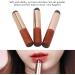 3Pcs Silicone Lip Brush Applicator Set | Soft Round Head Makeup Tool - Buy Online on GoSupps.com