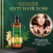 Huile naturelle de croissance des cheveux au gingembre 7 jours renforce les racines pr vient la perte de cheveux L'huile d'ang lique et de gingembre favorise les cheveux plus longs et plus - Buy Online on GoSupps.com