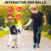 Sharlovy Indestructible Dog Toys - Durable Dog Balls & Cubes for Large and Aggressive Dogs | 6-Pack with Rotated Cotton Rope - Buy Online on GoSupps.com