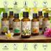 1.7 Fl Oz Extra Virgin Olive Oil - 100% Pure Unrefined for Hair, Skin, Nails, Lips - Cold Pressed, Glass Bottle - Beauty & Massage Base - Buy Online on GoSupps.com