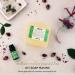 Pifito Tea Tree Oil Melt and Pour Soap Base - 5 lb Bulk | 100% Natural Glycerin | Luxurious Soap Making Supplies - Buy Online on GoSupps.com