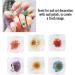 Nail Art Decor Soft And Safe Nail Dry Flower Decor Bright Colors Nail Decoration Natural Flower Perfect Choice Beauty Salon for Home Woman Manicure Store - Buy Online on GoSupps.com