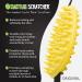 Original Cactus Back Scratchers - Aggressive & Moderate Two-Sided Design | Perfect Travel Gift for Men & Women | Shop Internationally - Buy Online on GoSupps.com