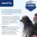 ADAPTIL Calm On-the-Go Collar Helps Dogs Cope with Stress and Anxiety Related Behavioural Issues and Life Challenges Especially When Out and About - Small Dogs (Packing May Vary) Single - Buy Online on GoSupps.com