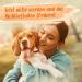 Ida Plus Multivitamin Juice for Dogs - 200ml with 15 Essential Vitamins | Vitamin B Complex A D E K & Biotin for Optimal Health - Ideal for Dogs & Puppies - Buy Online on GoSupps.com