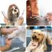 WUWYOUWL Pet Grooming Scissors for Dogs & Cats | 6-Inch Hair Cutting & Ear Cleaning Accessories - Buy Online on GoSupps.com