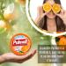 Pulmoll | Pulmoll Tablets | Since 1946 (Orange) - Buy Online on GoSupps.com