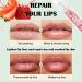 Strawberry Lip Protection Lip Balm Lip Oil No-Sticky Hydrating Lip Protection Anti-Drying Natural Lip Care All Day Moisturizing Care Lip Repair Lip Plumper Gloss - Buy Online on GoSupps.com