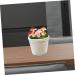 DECHOUS 18 Pcs Simulated Mushroom Emulation Mushroom Flower Pot Bonsai Decor Simulation Mini Mushroom Glass Faux Artificial Plants Indoor Mini Froth Adornment Delicate Child Iron Wire Food Assorted Colorx3pcs 9X8CMx3pcs - Buy Online on GoSupps.com