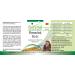 Fairvital Floravital Basic - 6 Bacterial Cultures & Inulin Lactobacillus & Bifidobacteria | 90 Capsules - Best for Gut Health Worldwide - Buy Online on GoSupps.com
