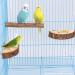 Reyshin 4-Piece Nature Birds Budgie Playground & Nibble Toys | Bird Accessories with 5 Rat Balls for Canaries & Lovebirds - Buy Online on GoSupps.com