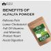 Blessfull Healing Organic 100% Pure Natural Alfalfa Superfood Powder | 300 Gram / 10.58 oz - Buy Online on GoSupps.com
