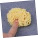 Didiseaon Sponges Bath Sponge Bath Shower Sponge Seaweed Sponge Honeycomb Algae Sponge Baby - Buy Online on GoSupps.com