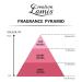 Creation Lamis Open Fire Deluxe Limited Edition Eau De Toilette Spray - Buy Online on GoSupps.com