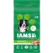 IAMS Proactive Health Minichunks Dog Food Dry Adult Chicken & Whole Grains Recipe 3.18kg (7LB) Bag & Proactive Health Healthy Adult Dry Cat Food with Chicken 1.59kg Bag 3.18 kg (Pack of 1) Mini Chunks + Cat Food 1.59kg Bag - Buy Online on GoSupps.com