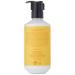 Crabtree & Evelyn Citron and Coriander Energising Body Lotion 8.5 Fl Oz Citron and Coriander 8.5 Fl Oz (Pack of 1) - Buy Online on GoSupps.com