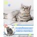 Supet Adjustable Cat Dishes Set - Ideal for Large & Small Cats Kitten Dishes & Cat Leash with Gentle Rainbow Design | International Shipping Available - Buy Online on GoSupps.com