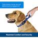 PetSafe Adjustable Martingale Collar L (Neck 13-20) Black - Prevents Slipping, Increases Control for Strong Pullers - Buy Online on GoSupps.com