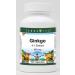 Ginkgo 4:1-450 mg (100 Capsules ZIN: 520212) - 3 Pack