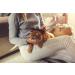 Lambskin Brush for Pets - Universal Care Brush for Dogs & Cats | Soft Grip Long & Short Hair Fur Brush | Black/Red - Buy Online on GoSupps.com