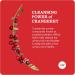 NatureWise Cranberry Extract Pills 12 500mg - Vegan Urinary Tract & Immune Support with Vitamin C & E - Sugar-Free Non-GMO - 60 Capsules - Buy Online on GoSupps.com