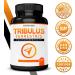 Tribulus Terrestris Extract 15000mg - 10x Concentrated Formula - Maximum Strength for Men & Women - Gluten Free, Non-GMO - 120 Capsules - Buy Online on GoSupps.com