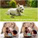 4-Piece Cotton Rope Dog Toy Set | Chew Toys for Small & Medium Dogs | Dental Care Puppy Toys with Knot Ball - Buy Online on GoSupps.com