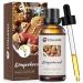 Gingerbread Fragrance Oil 100ml Bakery Essential Oil for Diffusers for Home Candle Scented Oils for Soap Making Bath Bombs Massage -3.38FL.OZ Gingerbread 3.38 Fl Oz (Pack of 1)