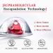 PROYA Supramolecular Retinol Serum - Night Anti Aging Face Serum with 20% Hexapeptide-1 Solution | Reduce Wrinkles & Fine Lines, Hydrate & Firm Skin | 1oz - Buy Online on GoSupps.com