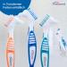 Wellsamed Denture Toothbrush - Effective Third Teeth Brush (1 Piece Orange) for Gentle Cleaning - Buy Online on GoSupps.com