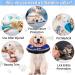 FWLWTWSS Inflatable Protective Dog Collar - Adjustable Buckle for Recovery | XL Neck 45.7cm-63.5cm - Comfortable & Leak-proof Design - Buy Online on GoSupps.com